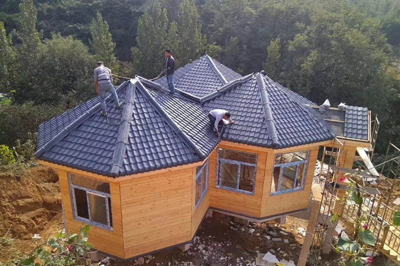 Trường hợp dự án