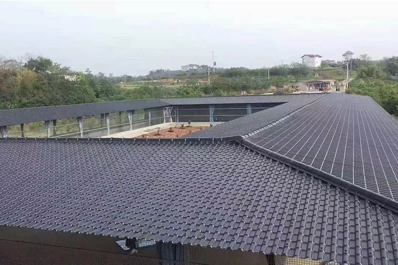 Trường hợp dự án