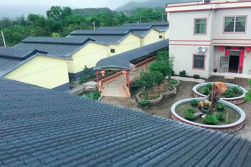 Trường hợp dự án