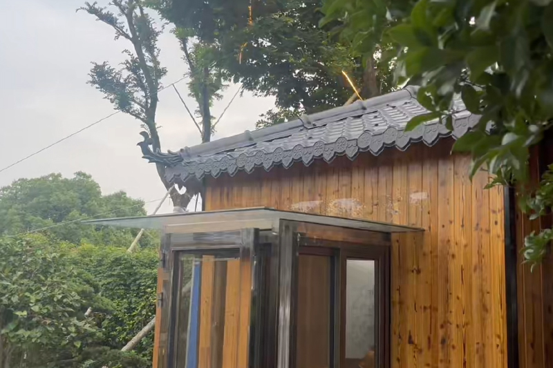 Trường hợp dự án